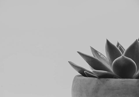 Ethical SEO in the USA, Europe, UK